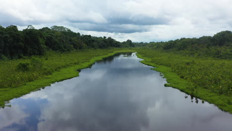 Cinematic-drone-shot-of-the-the-Amazon-river-and-rainforest