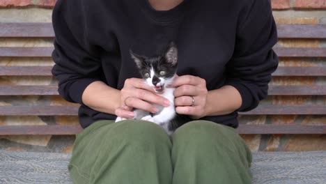 anonymous woman embracing kitten on bench