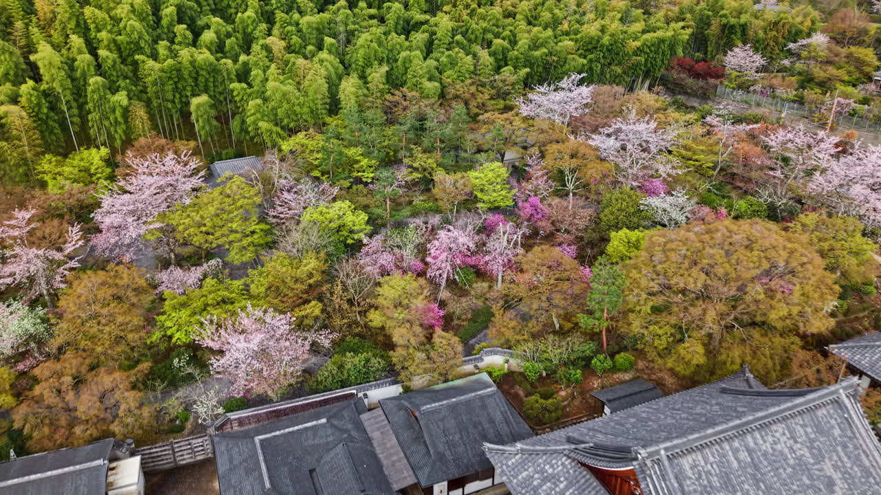 Aerial drone view of a temple surrounded by cherry blossom at sunset