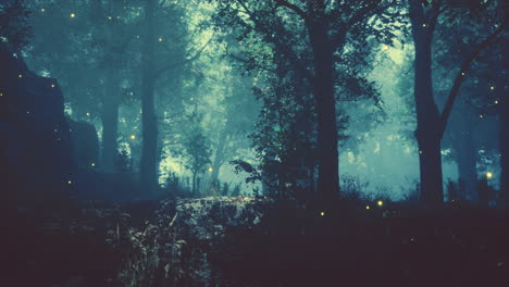 bosque en la niebla de la mañana de otoño