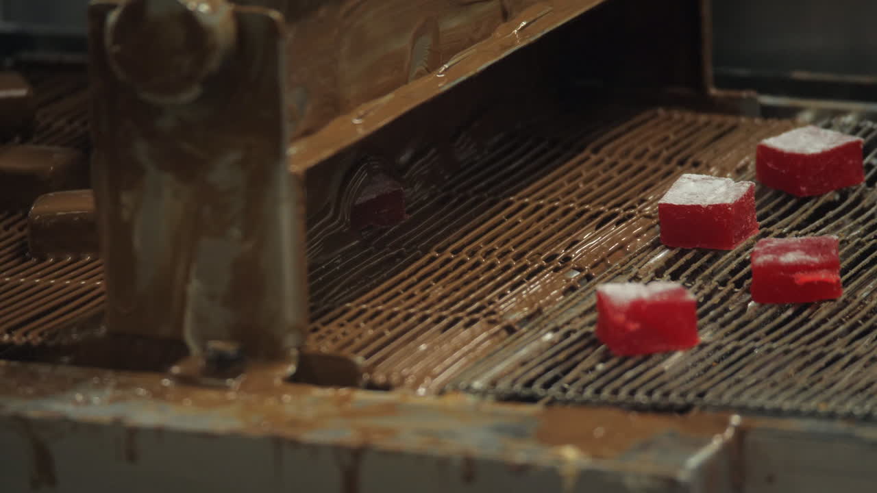 초콜릿 공장의 생산 라인에서 장미 터키 기쁨 과자