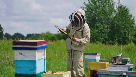 beekeeper in modern protective suit on apiary. professional apiarist man holding frame with many bees crawling on it on green nature background.