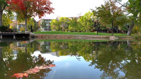 Walking-along-a-pond-in-the-neighborhood-park