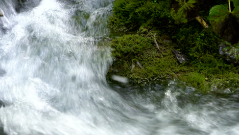 flujo de agua en los lagos de plitvice, croacia.