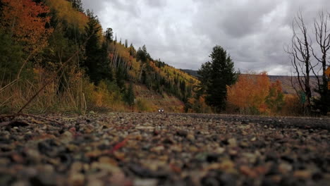 ground-level-side-of-the-road-fall-colors-car-approaches-with-headlights-on
