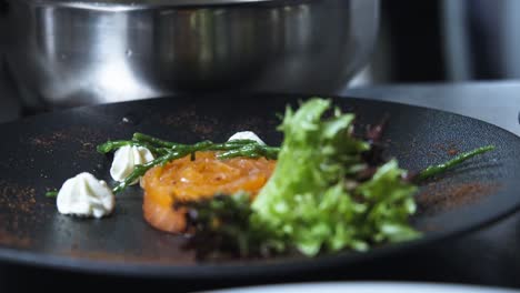 chef's added finishing touches by garnishing dish in high-end kitchen close-up