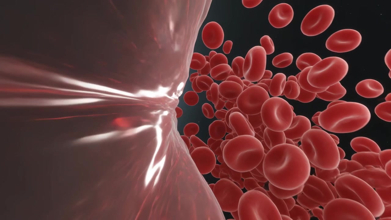 Flowing red cells moving through vessel lumen along glossy wall, viewpoint advancing for simulation
