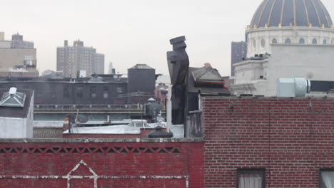 birds flying above brooklyn rooftops in early morning foggy light