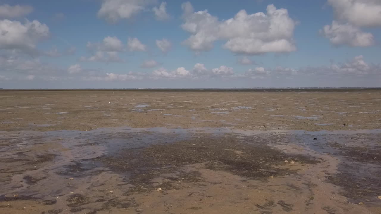 dolly truck pan en la costa atlántica, un territorio con marea baja: cubierto de arena, barro o rocas, esta es una zona frágil