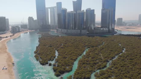 Aerial-tilt-down-descending-shot-of-mangroves