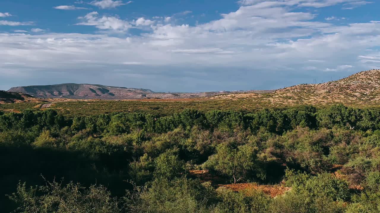 vista de la montaña del desierto con el bosque