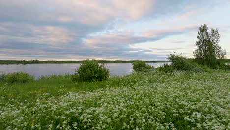 Paisaje-De-Lago-Tranquilo-Y-Vegetación-Exuberante-En