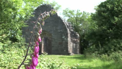 Eine-Antike-Ruine