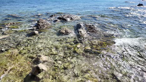 las aguas cristalinas y el lecho rocoso de la costa de pafos, chipre, con ondas suaves golpeando la costa