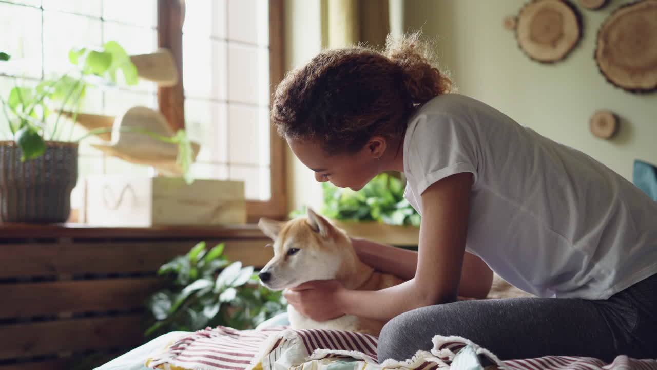 Girl petting a Shiba Inu dog in her bedroom