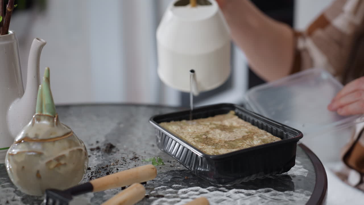 Hand view of female character pouring water from jug into disposable plastic tray on round glass table surrounded by gardening tools and potted plant cuttings cozy indoor planting scene