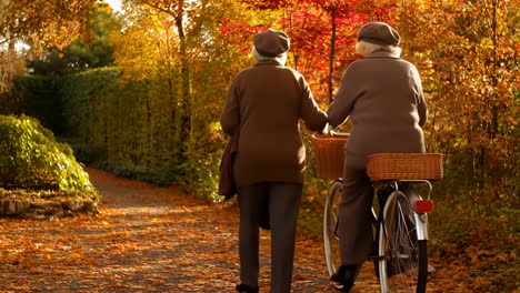 elderly couple enjoying an autumn bike ride