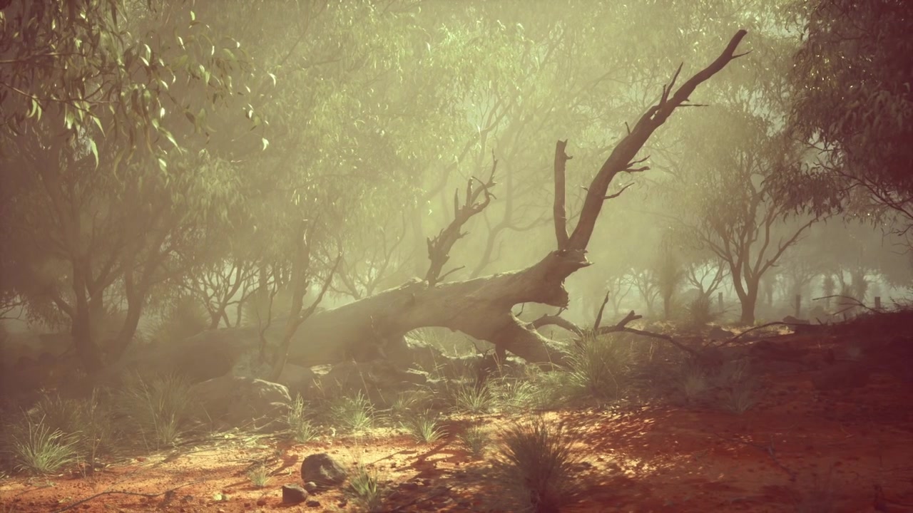 Tranquil woodland setting with aged branch among lush growth