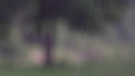 rain comes in the jungle anytime and one must enjoy the most out of it