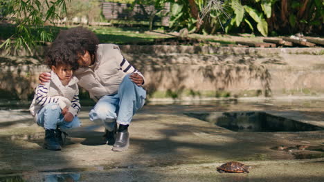 woman girl watching reptiles in sunny park. family enjoying wildlife.