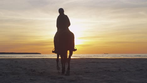 silueta de un joven jinete a caballo en la playa moviéndose hacia la luz del atardecer. vista trasera.