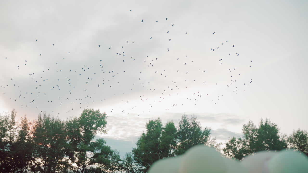 큰 새 무리가 하늘을 가로질러 날아가는 자연의 아름다운 풍경, 모자를 입은 사람들이 배경에서 함께 서서 매혹적인 장면을 지켜보고 있습니다.