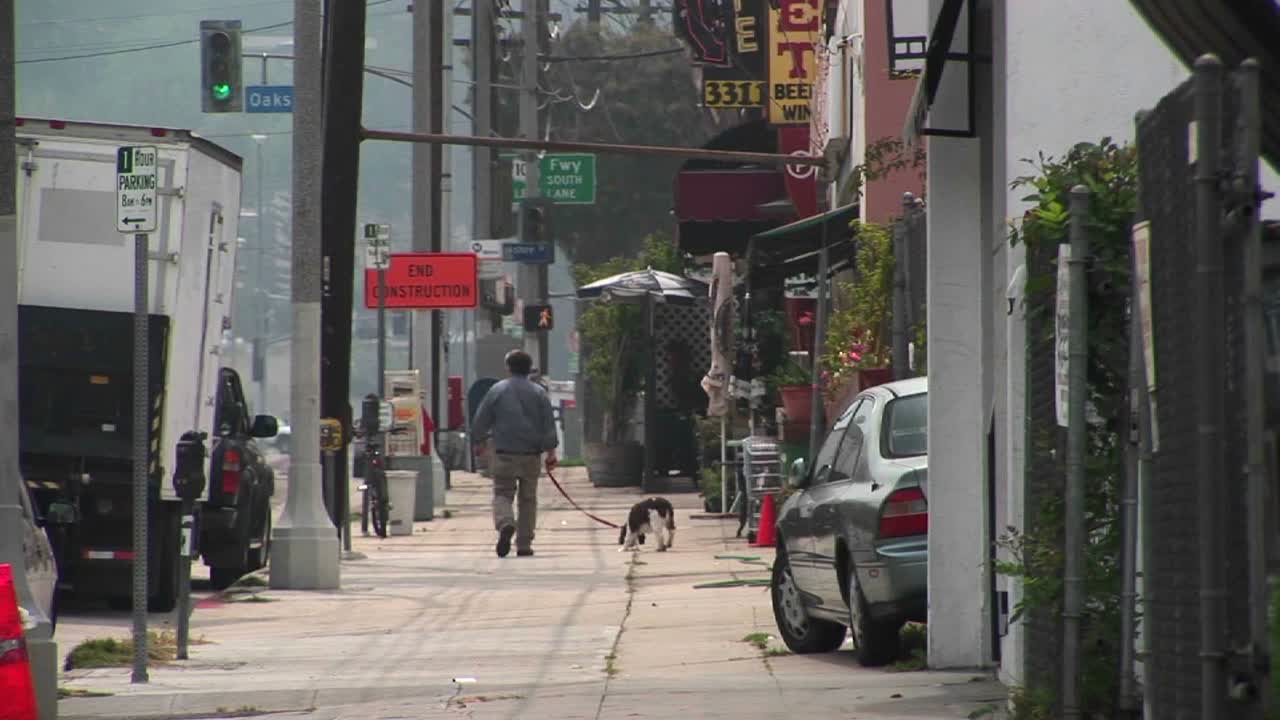 한 남자가 개를 산책시킨다