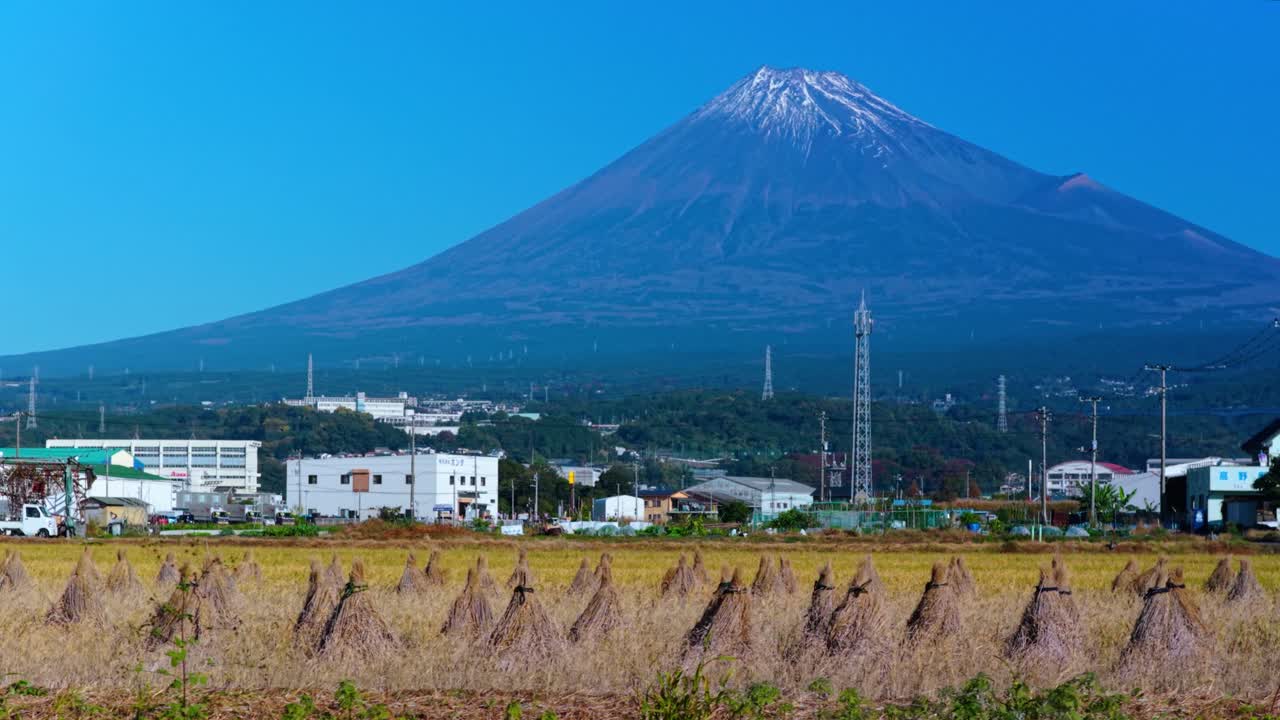 Fall in Japan, Rice Fields Harvested with Mt Fuji First Snow Cap, Pan Shot