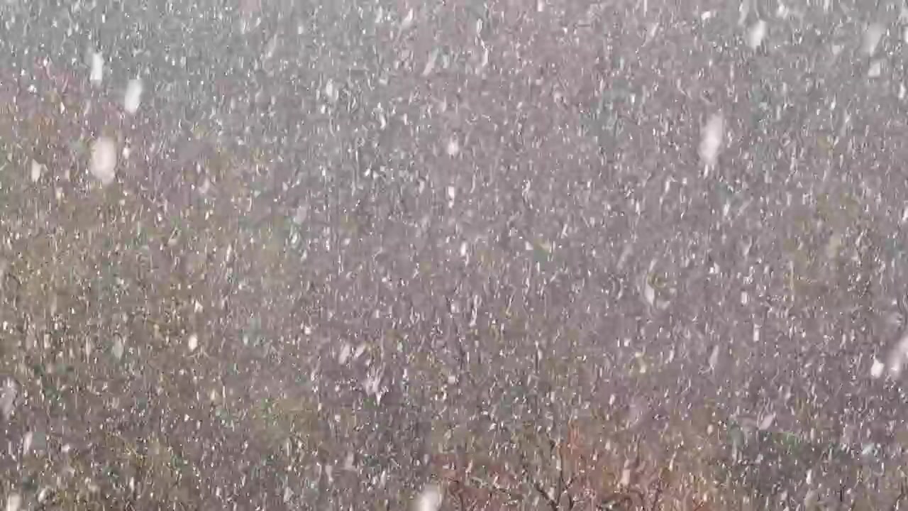 Sneeuwstorm in de winter