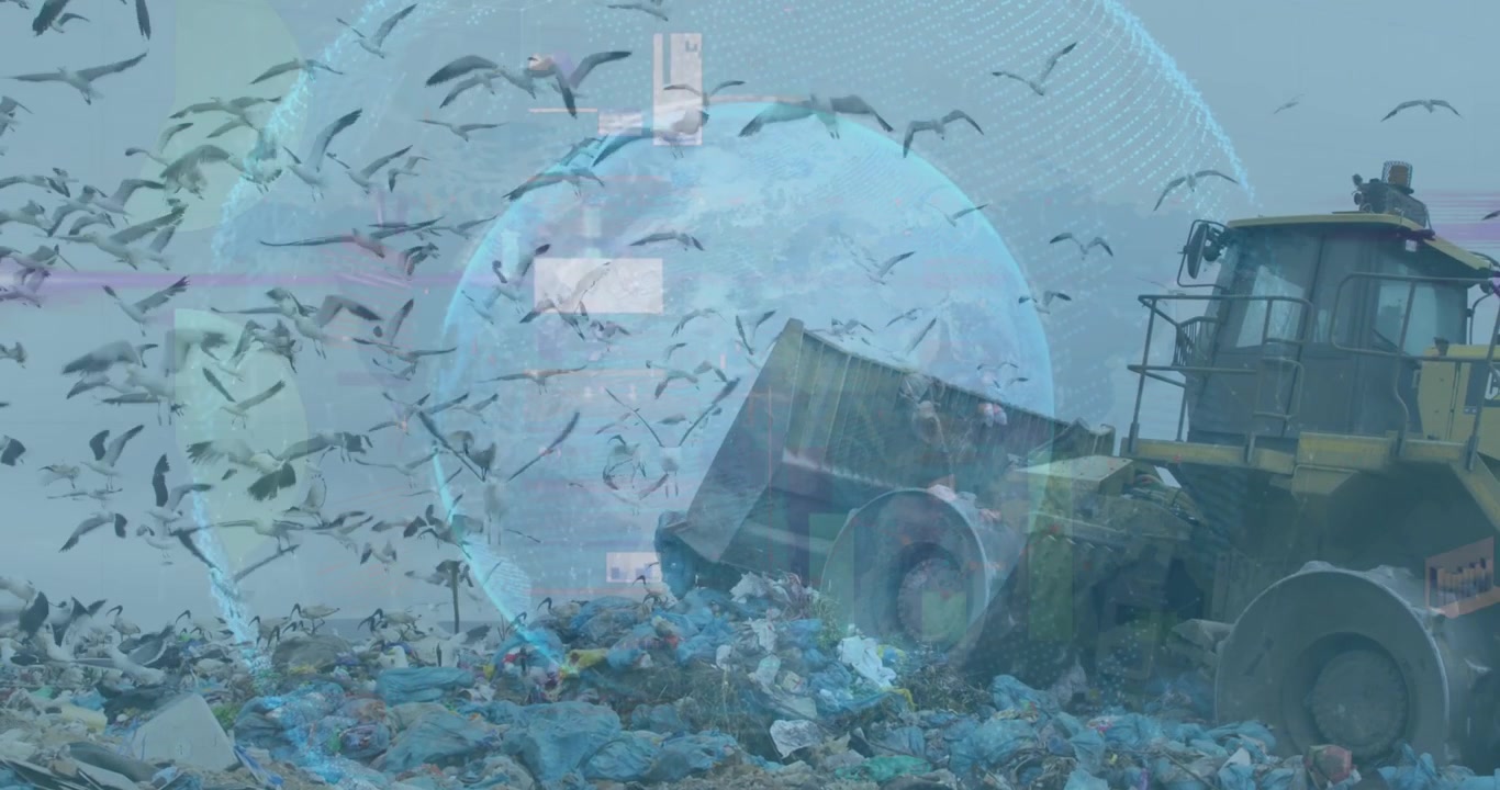 Il video mostra uno stormo di uccelli che vola sopra una discarica piena di rifiuti e la ripulisce.