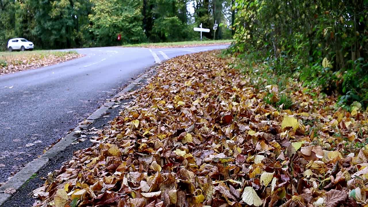 Thick covering of autumn leaves on a footpath alongside a road
