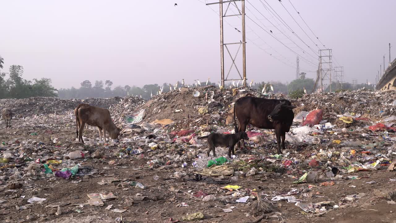 basura de fuera de la ciudad