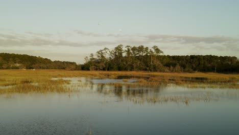 Pequeña-Isla-De-Pinos-En-Medio-Del-Pantano-Con-Luna-Llena-Al-Fondo-Al-Amanecer