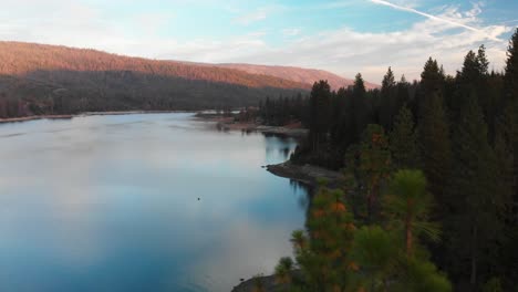 aerial shot going though pines trees with a beautiful mountains and lake in the background