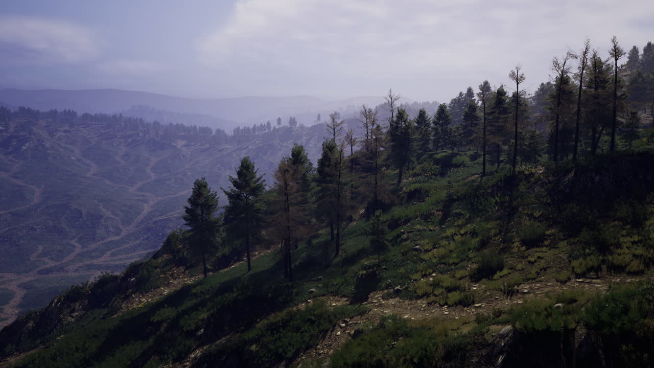 Exploring lush green hills under a serene sky during afternoon light