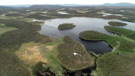 scenic flight over a green forest landscape with lakes and rivers