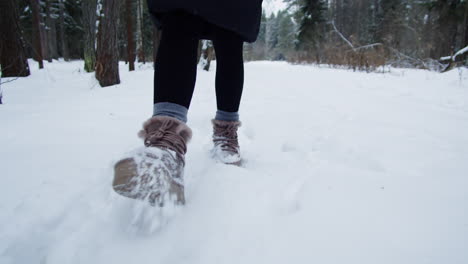 woman walking in a snowy forest