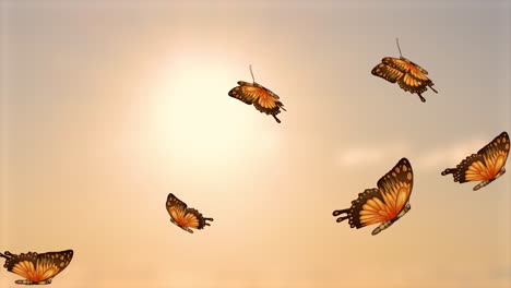 orange butterflies gracefully flying against a sunset backdrop