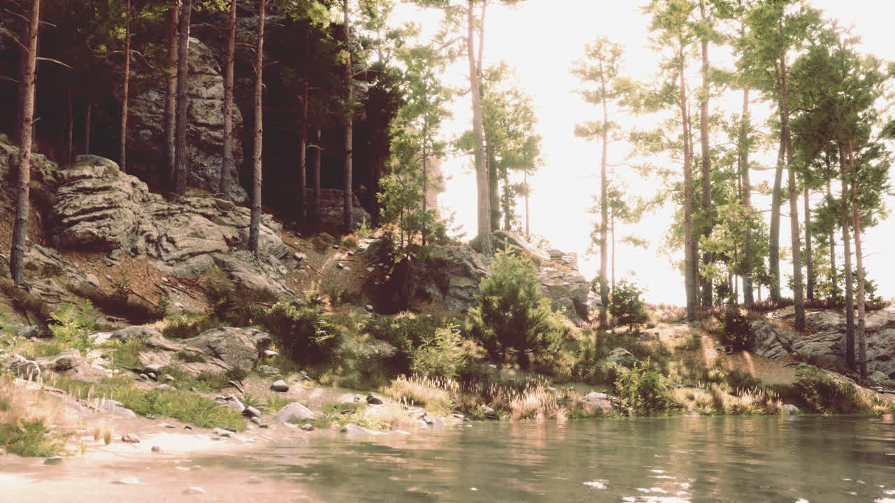 Paisagem do rio da floresta