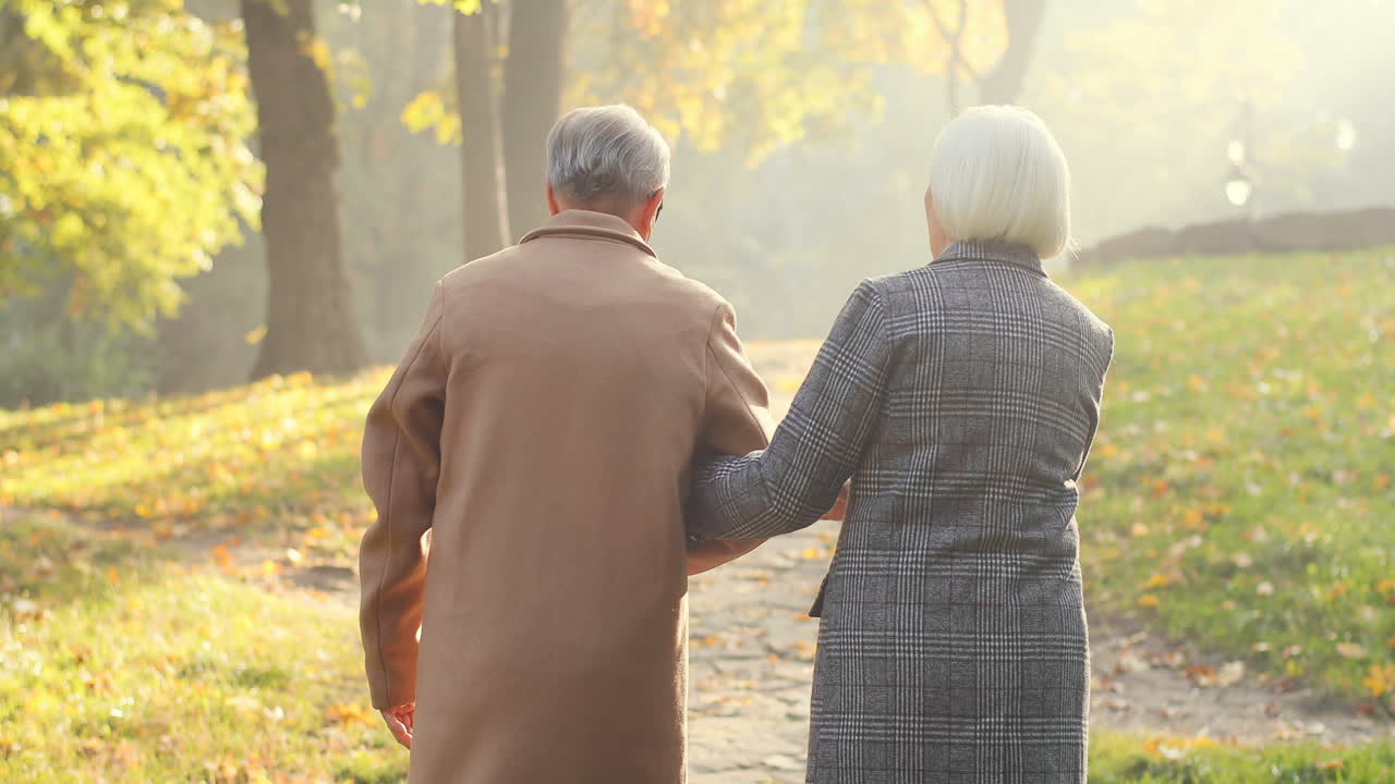공원 길을 함께 걷고 가을 석양에 서로를 안고 있는 노인 남녀의 뒷모습