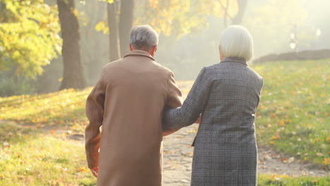 vista trasera de un anciano y una mujer caminando juntos por el sendero del parque y acostándose unos a otros al atardecer en otoño