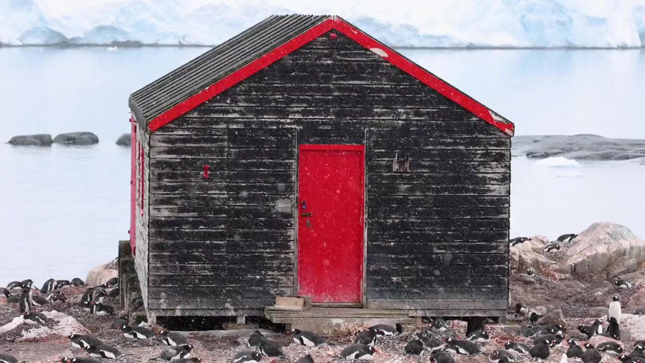 Il capanno nero di Port Lockroy con una porta rossa si erge nella neve che cade accanto a pinguini Papua e acque antartiche calme