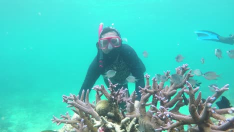 mujer feliz buceando bajo el agua en karimun jawa