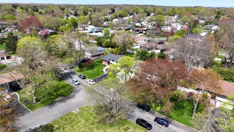 Bright-day-in-the-neighborhood