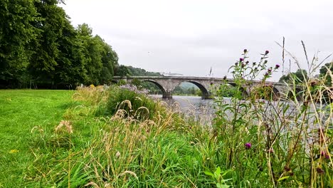 nature scene with river, bridge, and greenery