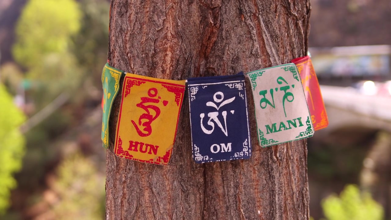Lähikuva värikkäistä rukouslipuista, joissa on Om Mani Padme Hum -mantra, sidottuna puuhun Bhutanissa.