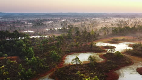 Aerial:-beautiful-wildlife-wetland-lake-environment,-misty-morning-sunrise