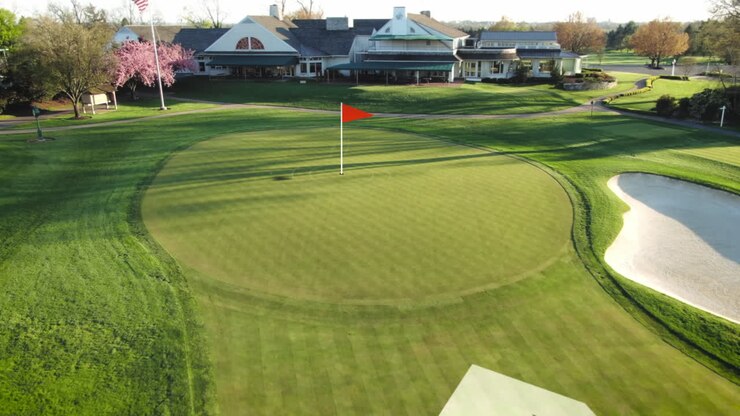 Illustrazione grafica animata che rivela un putting green su un campo da golf.