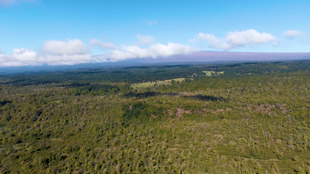 hermosos bosques y montañas de la isla de hawai, vista aérea