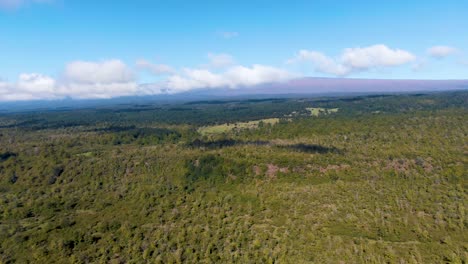 Wunderschöner-Wald-Und-Berge-Der-Insel-Hawaii,-Luftaufnahme